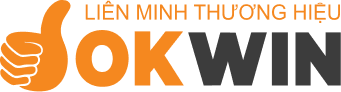 erpvizion.com